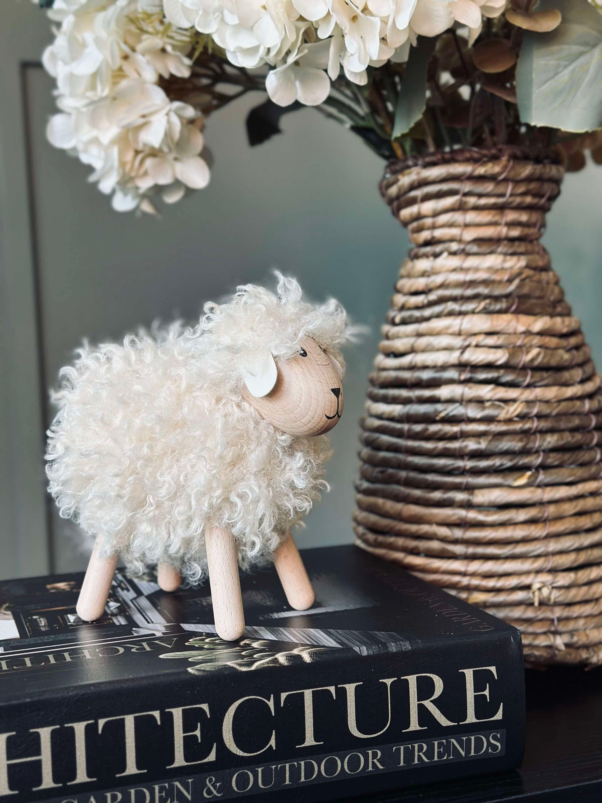 Langharige schaap - Natuur Groot