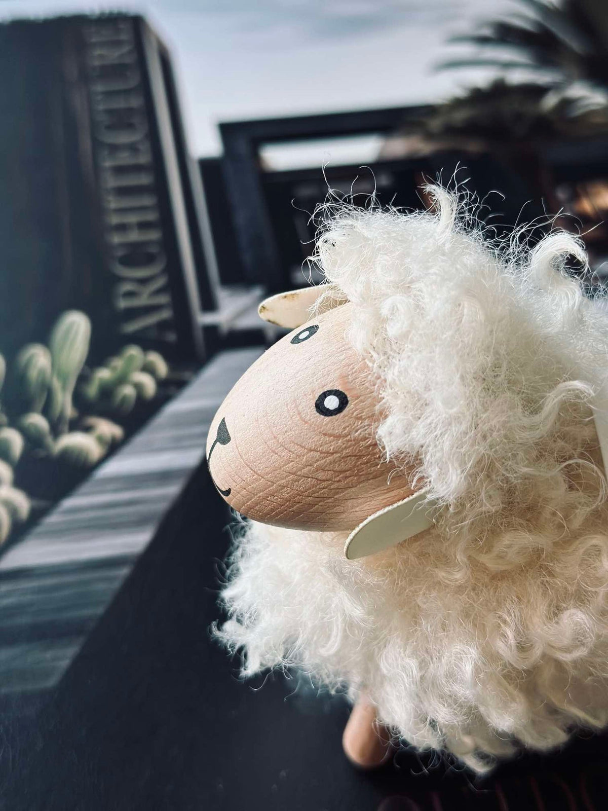 Schaap langharig - Natuurlijk klein