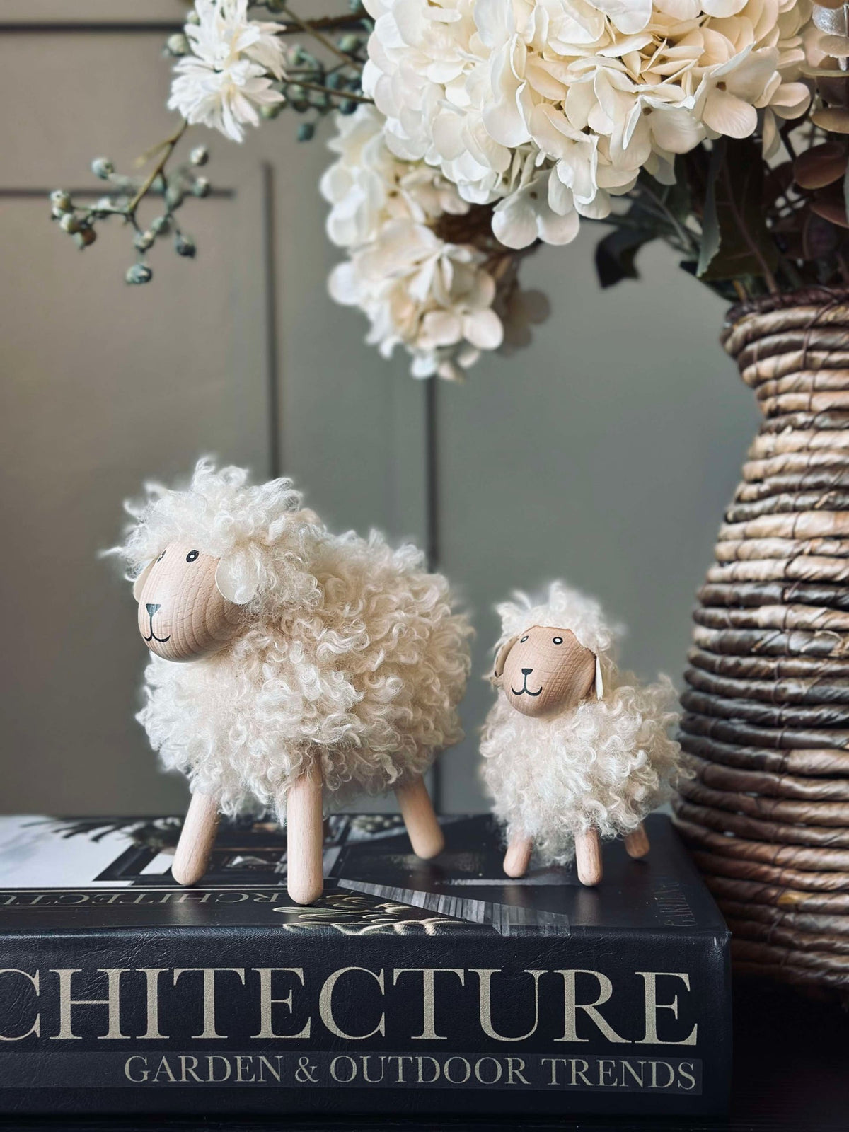 Langharige schaap - Natuur Groot