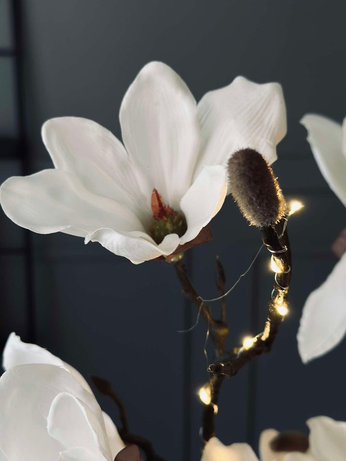 Magnoliatak met licht