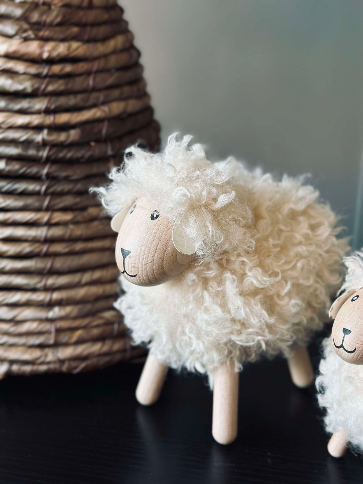 Langharige schaap - Natuur Groot