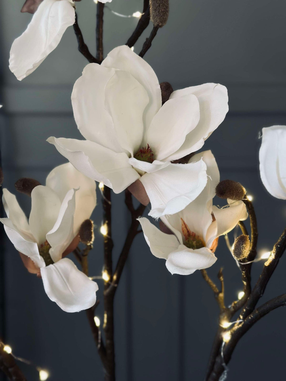 Magnoliatak met licht