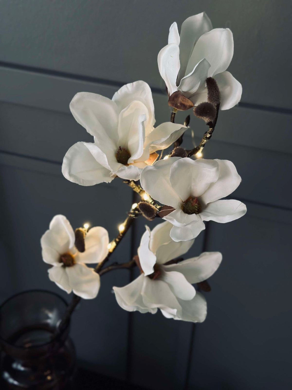 Magnoliatak met licht