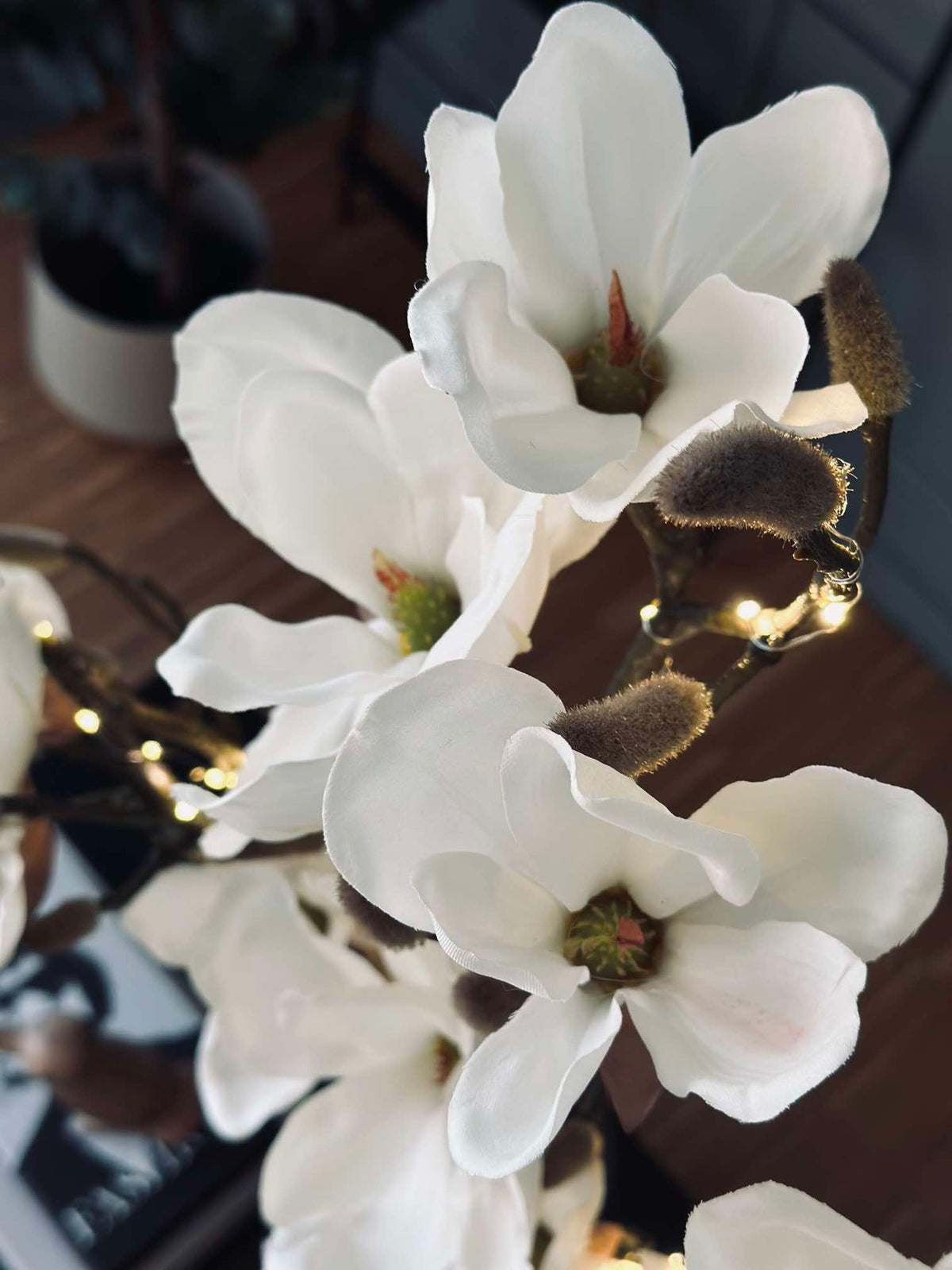Magnoliatak met licht