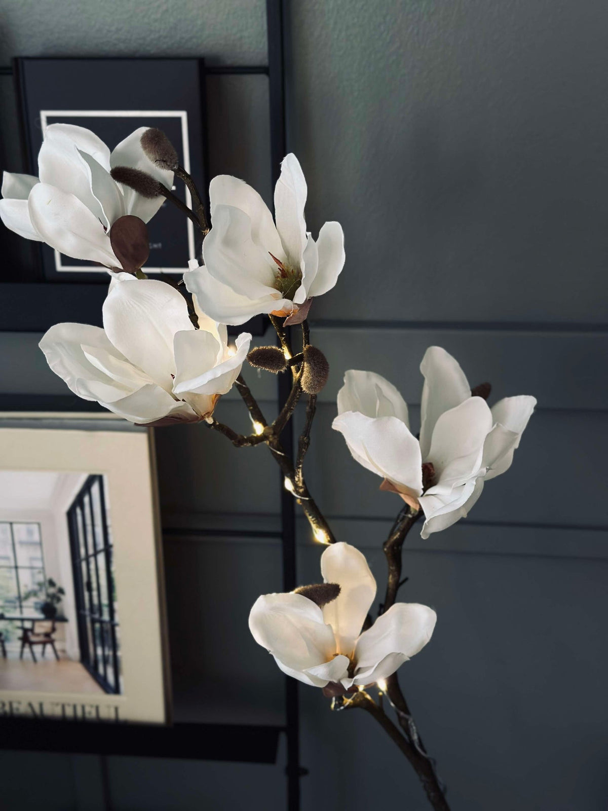Magnoliatak met licht