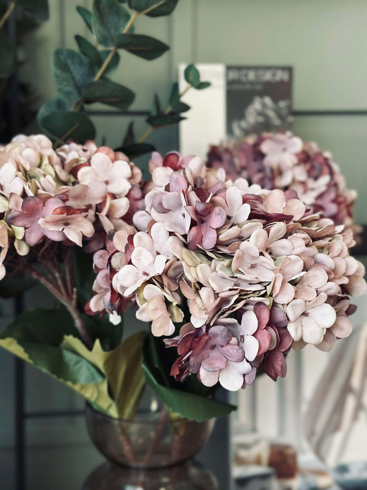 Hortensia Old Rose
