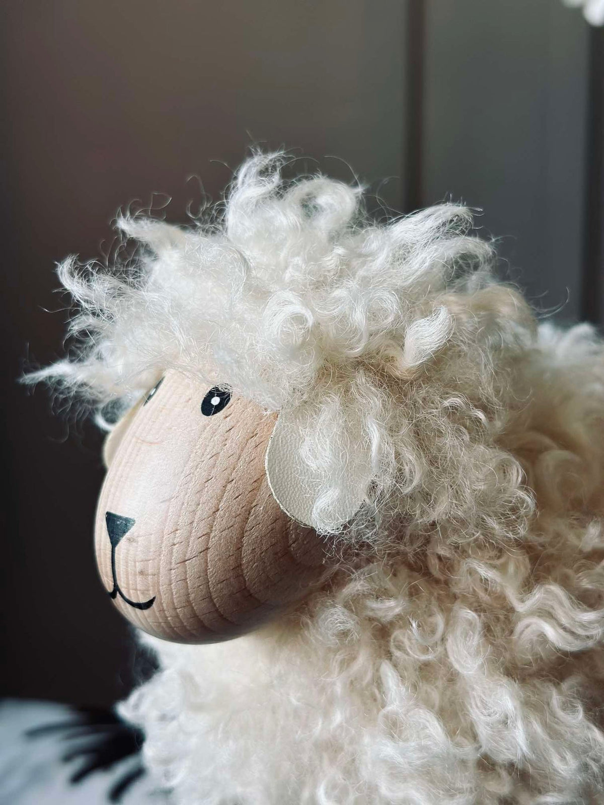 Langharige schaap - Natuur Groot