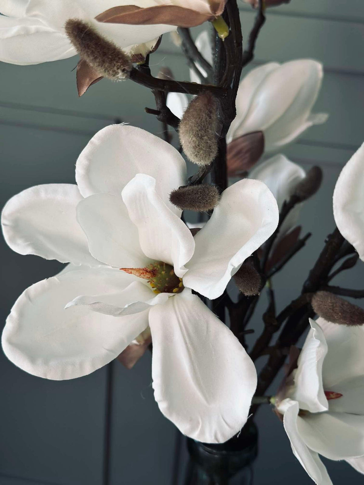 Magnoliatak - 92cm