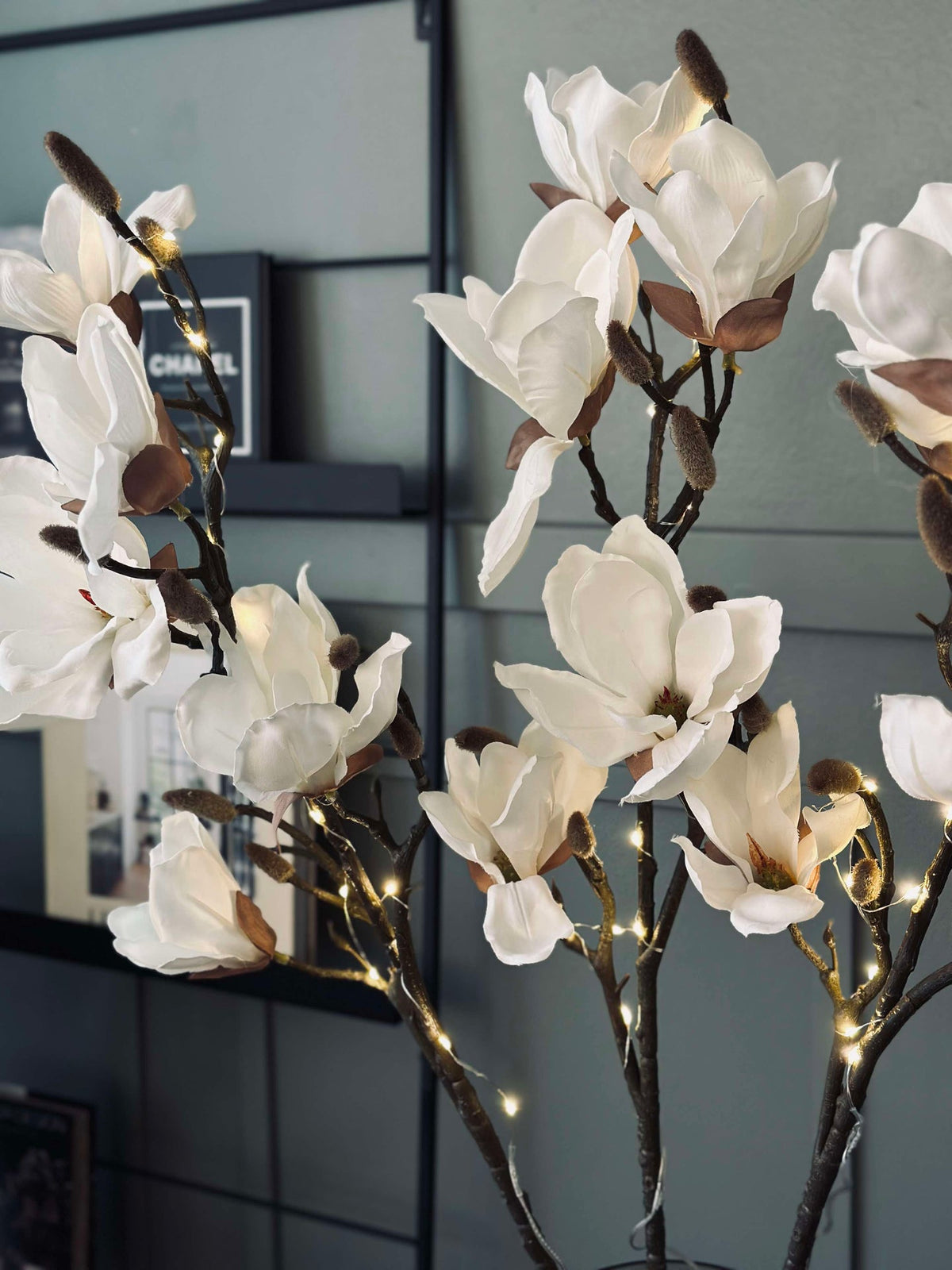 Magnoliatak met licht
