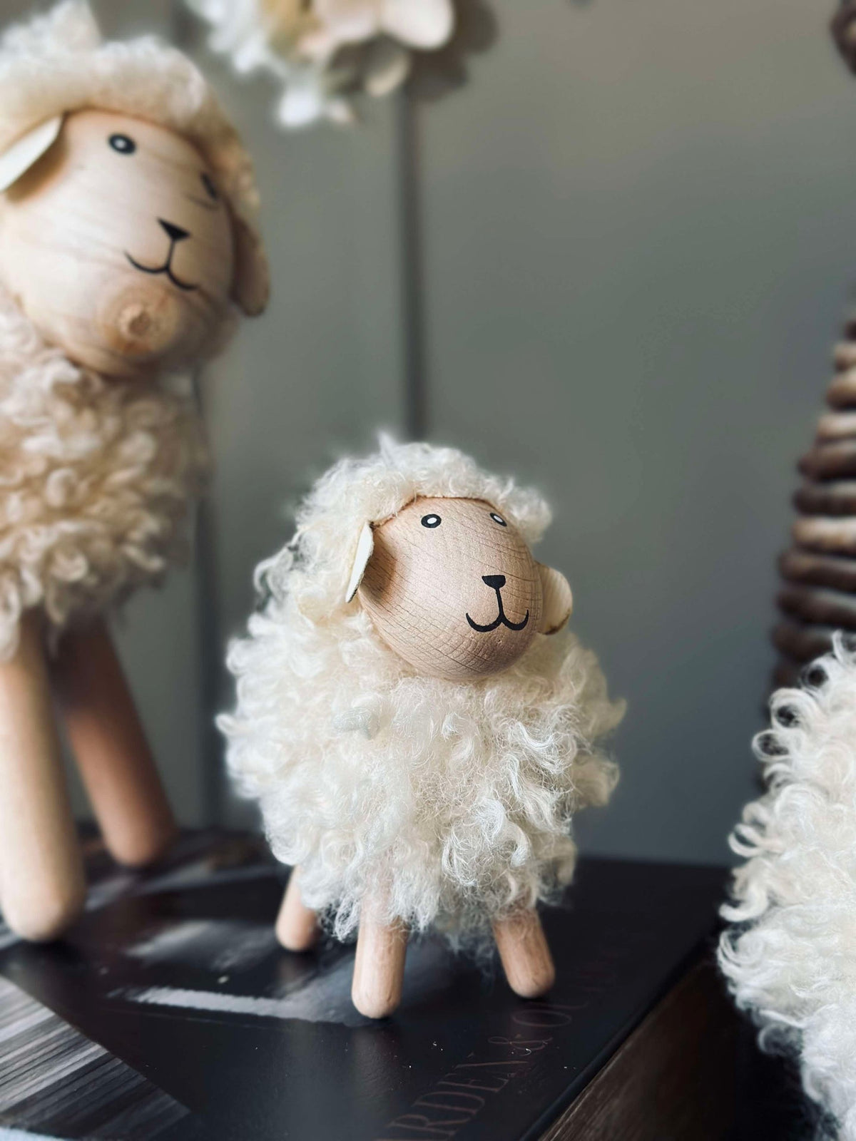 Schaap langharig - Natuurlijk klein