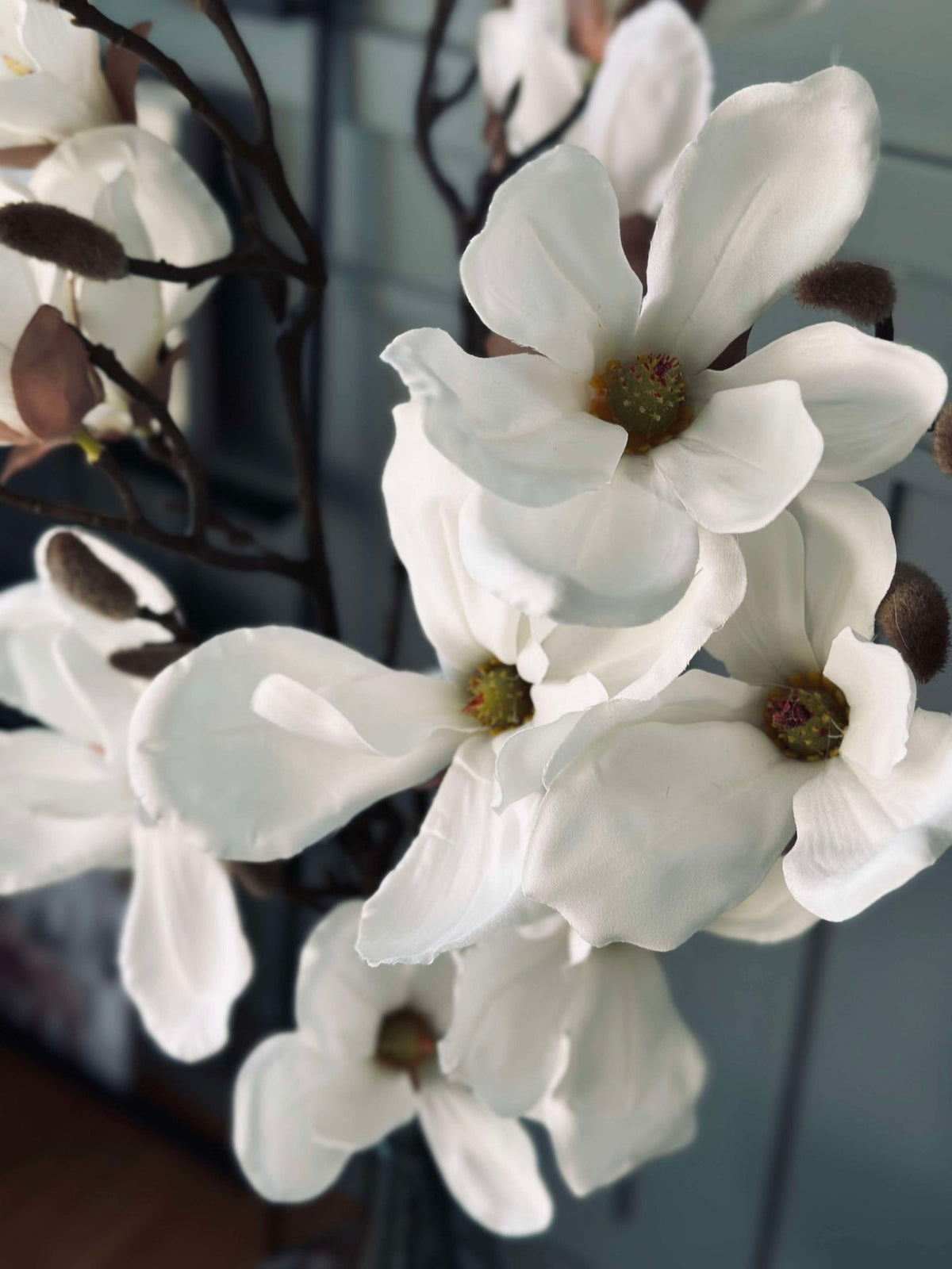 Magnoliatak - 92cm