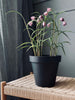 Bloempot - Recycling
