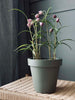 Bloempot Groen - Gerecycled
