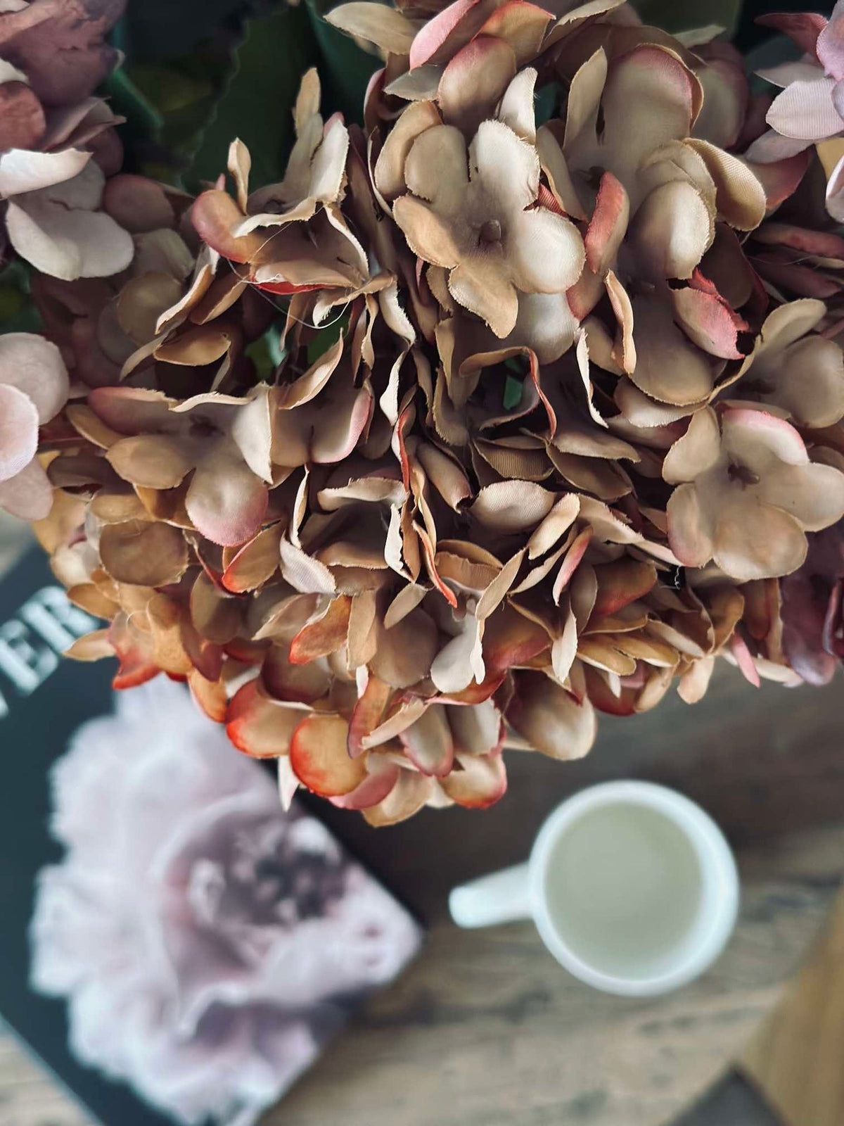 Hortensia - Brande kleuren