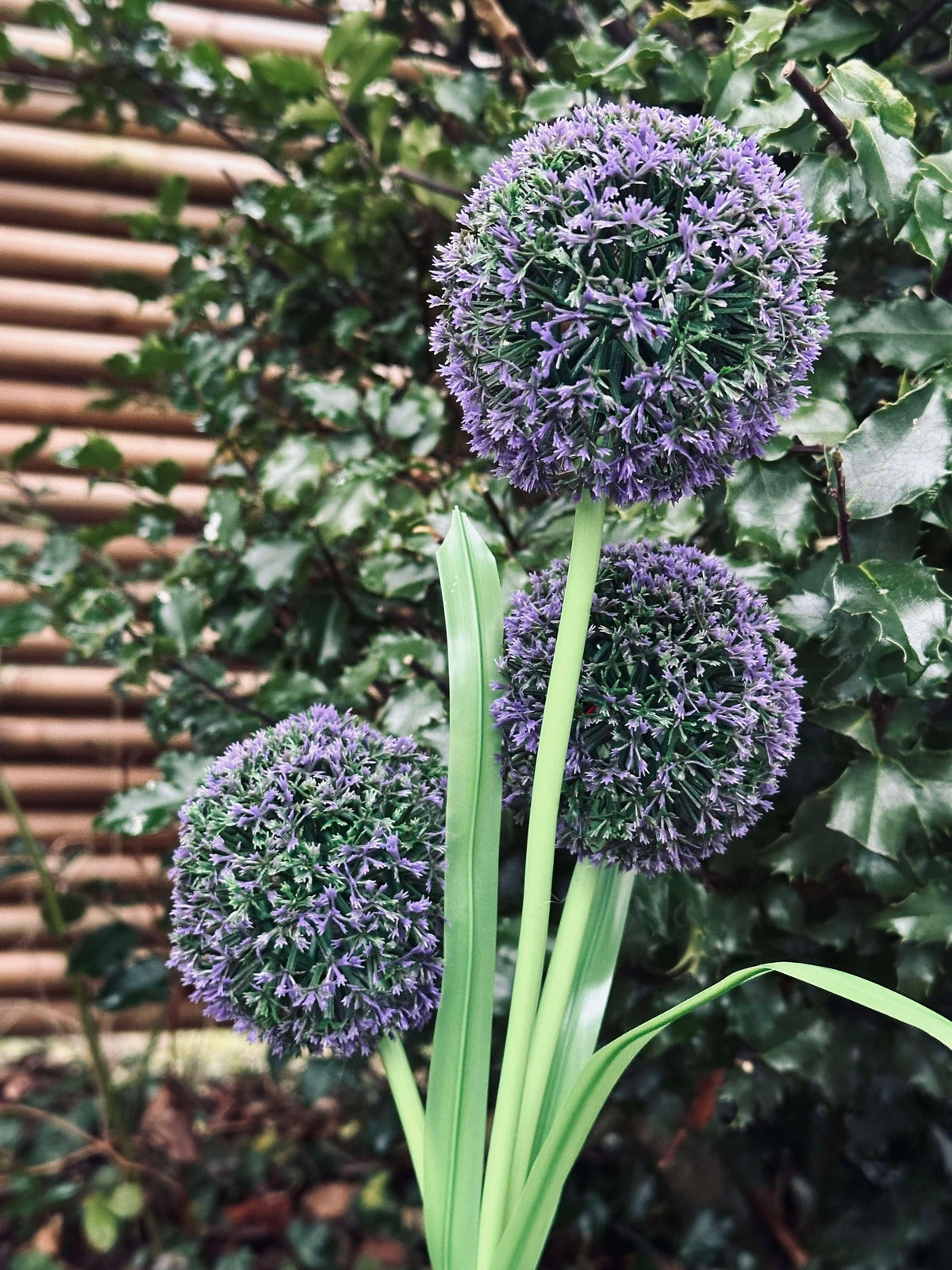Sierui op zonne-energie – Blauw