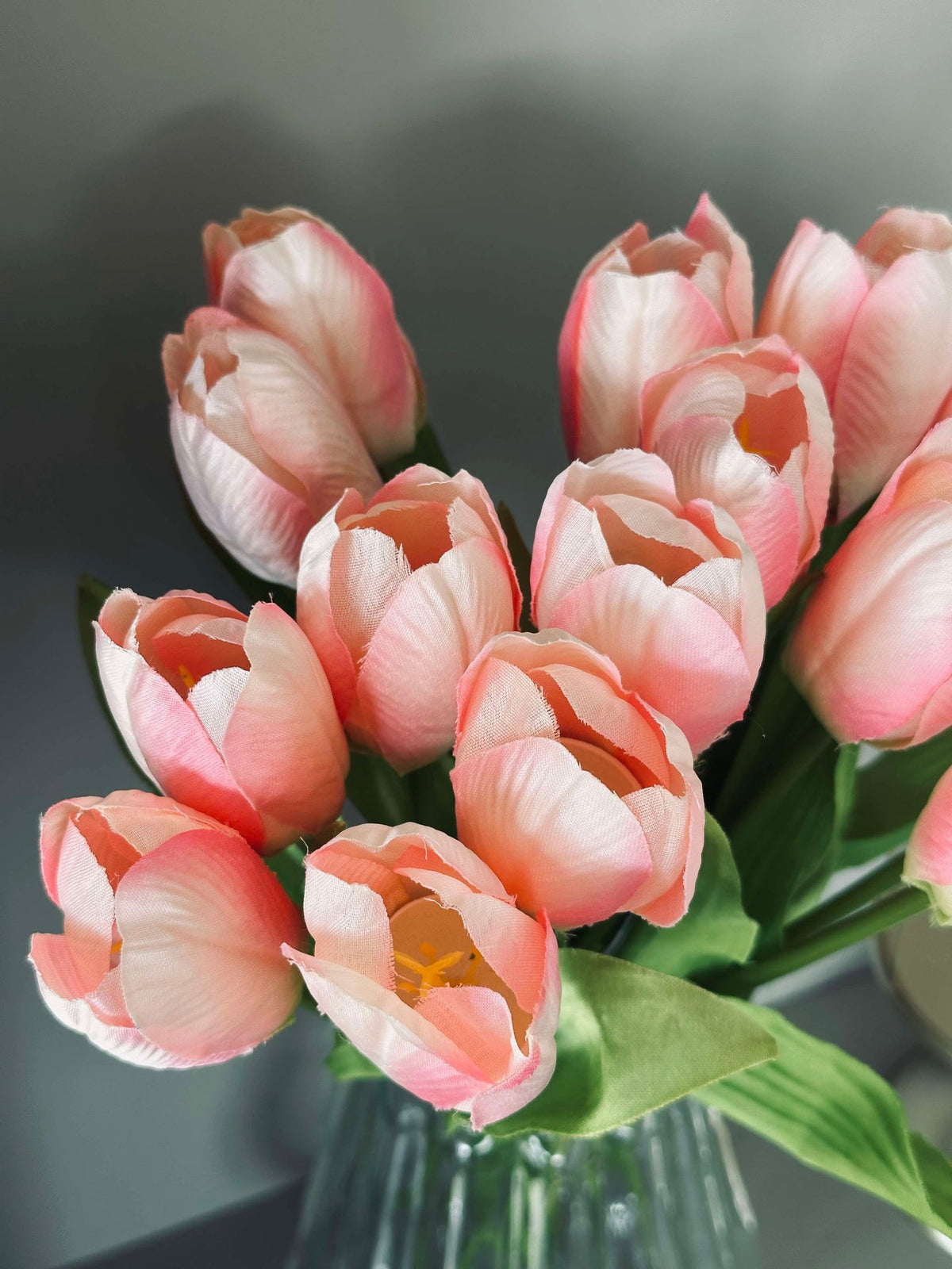 Tulpen Roze