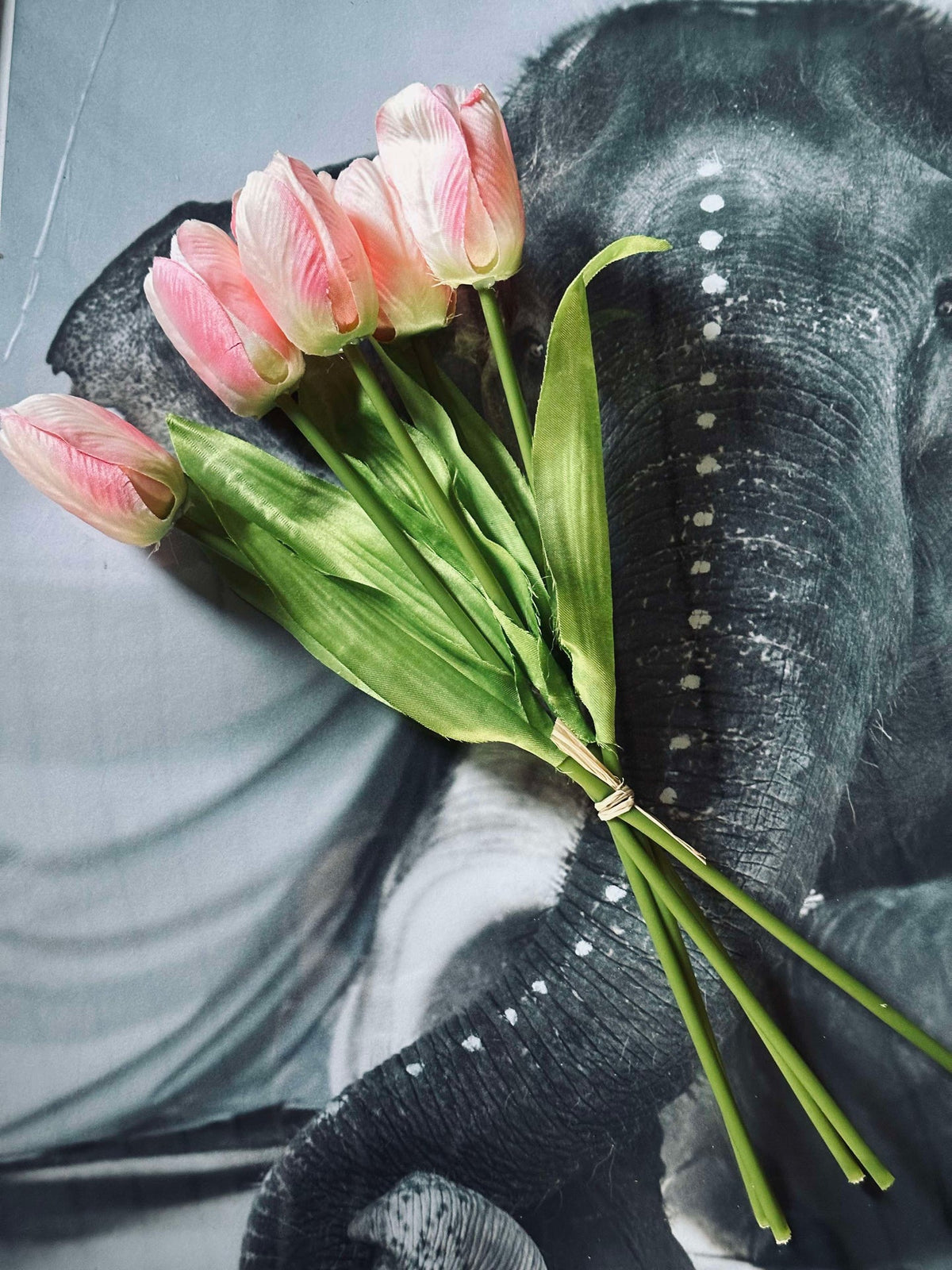 Tulpen Roze
