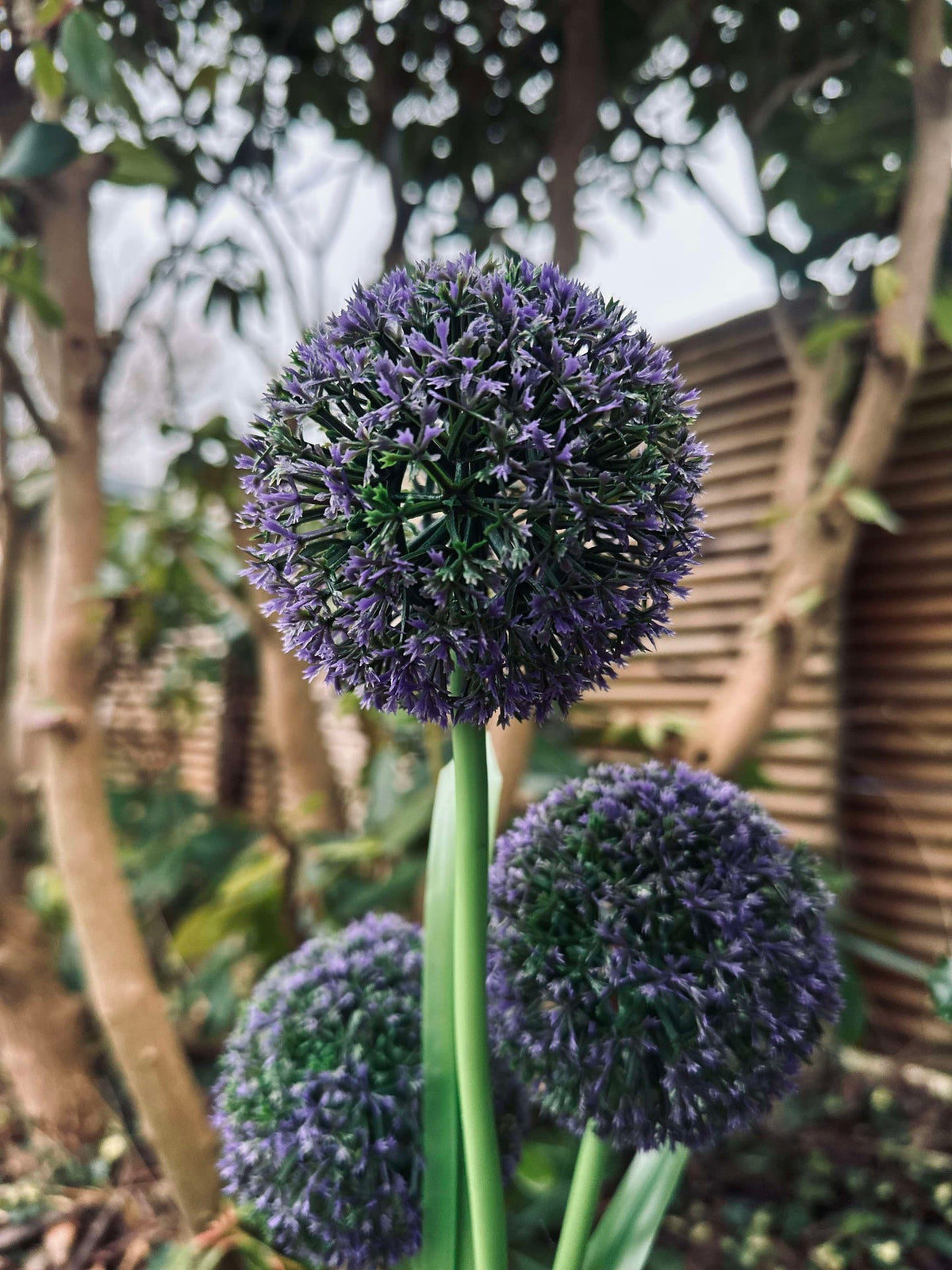 Sierui op zonne-energie – Blauw