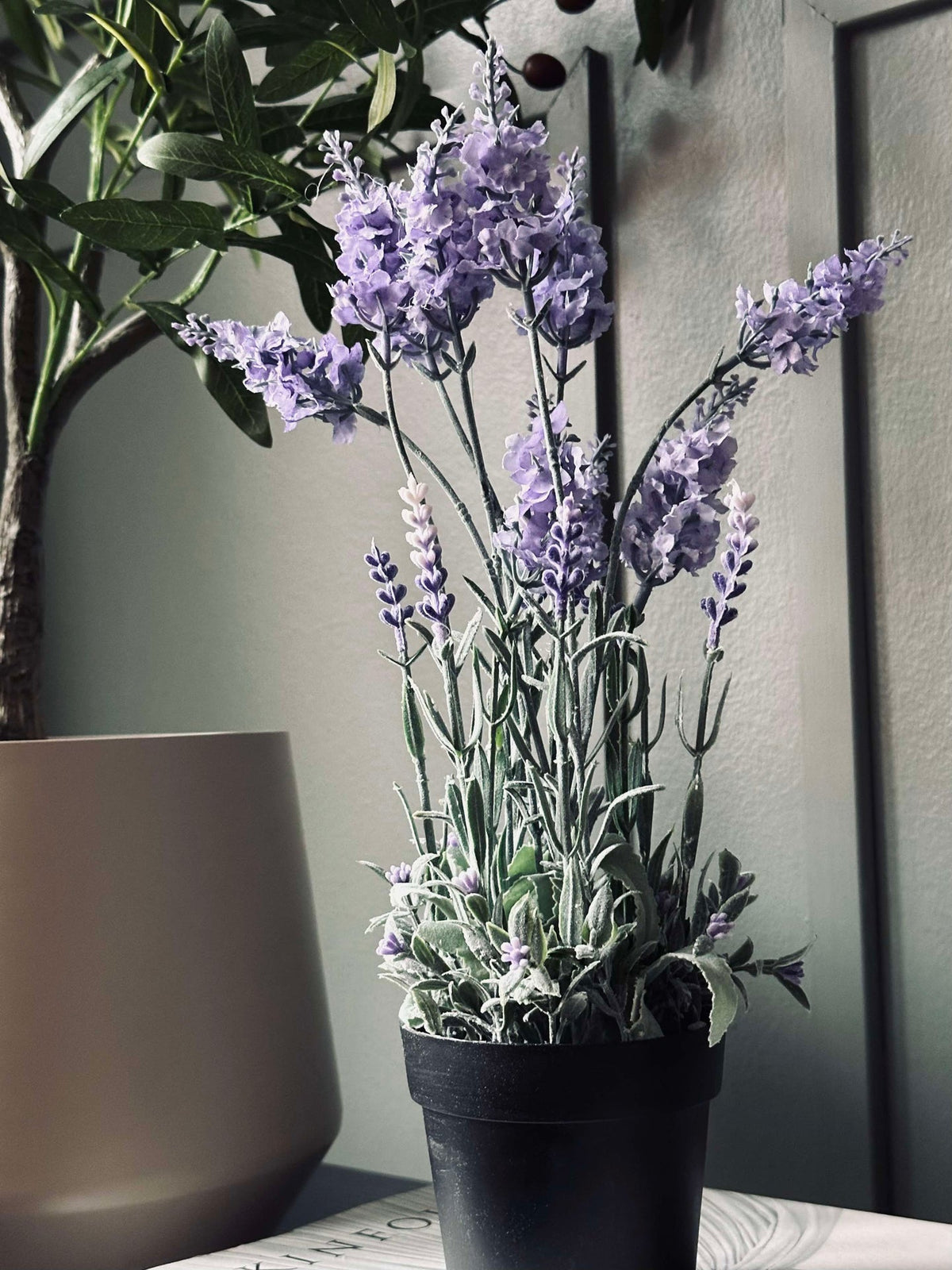 Lavendel 40cm - Lichtpaars