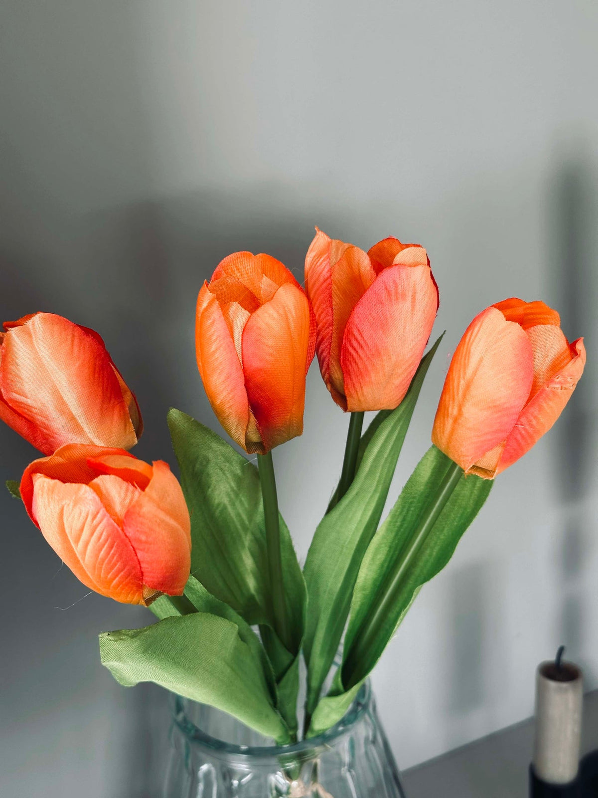 Tulpen Oranje