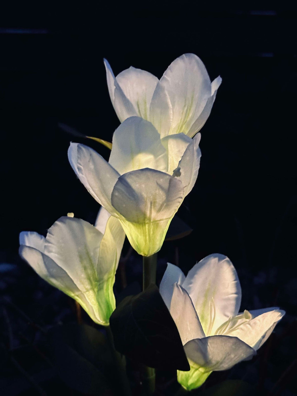 Magnolia met zonnepanelen - Wit