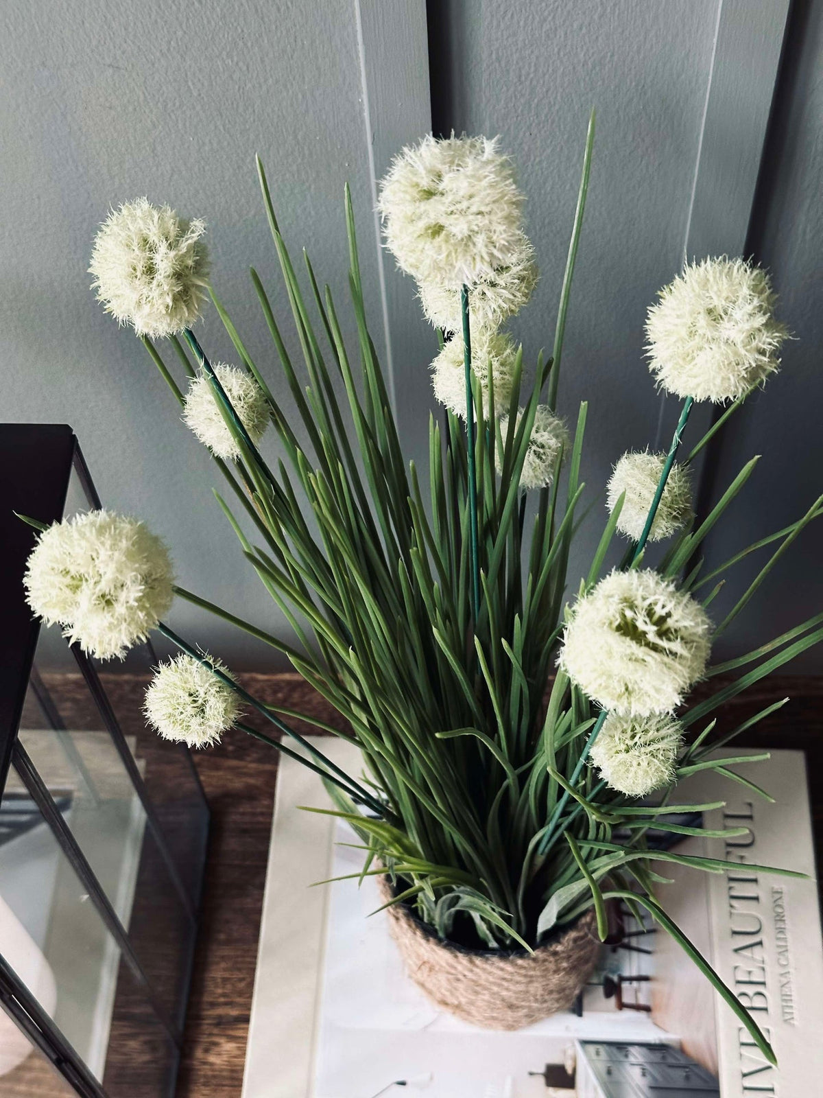 Bloem in pot