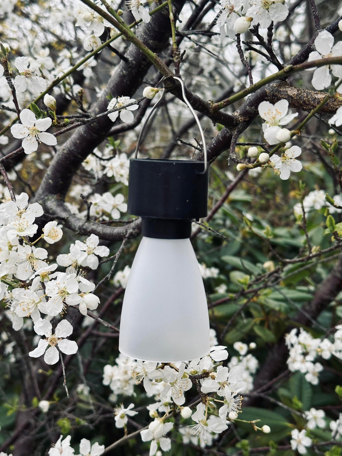 Mini lamp op zonne-energie