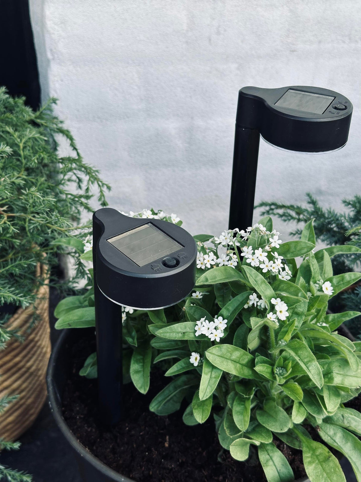 Tuinlamp Nancy met solar – Set van 4 stuks