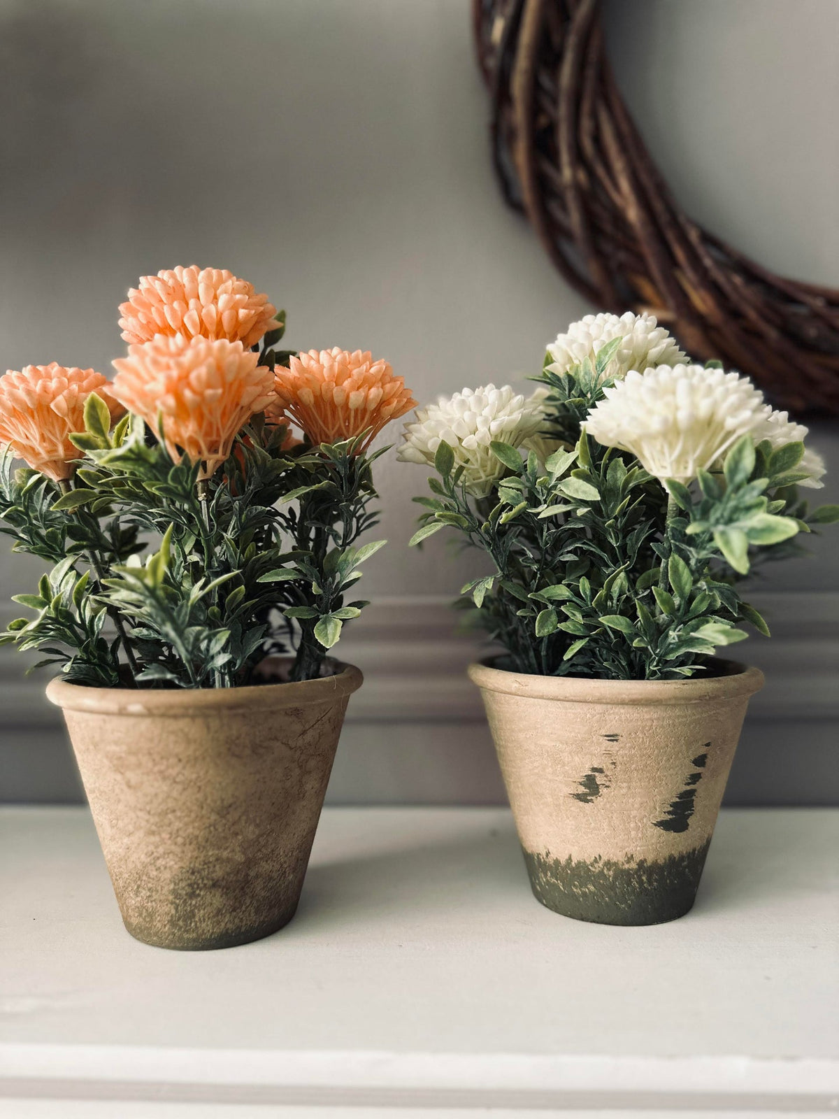 Bloem in rustieke pot - Wit