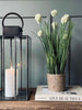 Bloem in pot
