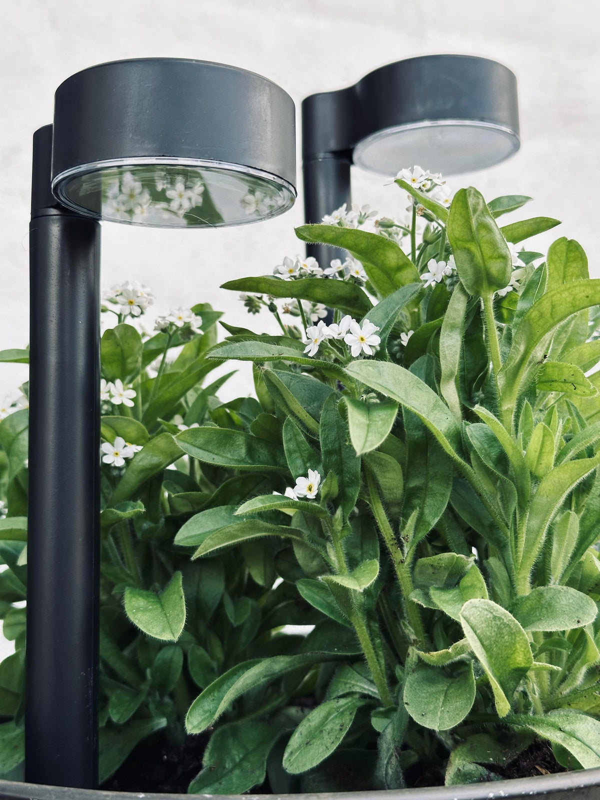 Tuinlamp Nancy met solar – Set van 4 stuks