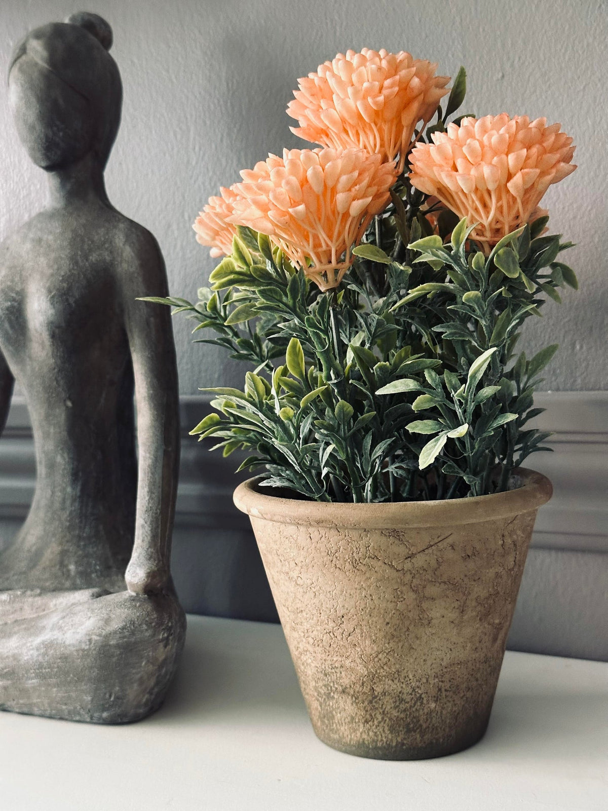 Bloem in rustieke pot - Coral