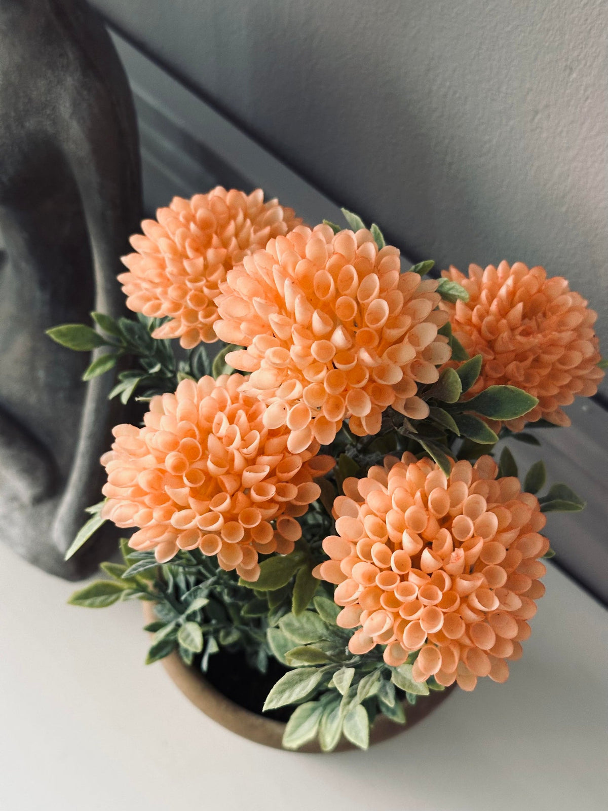 Bloem in rustieke pot - Coral