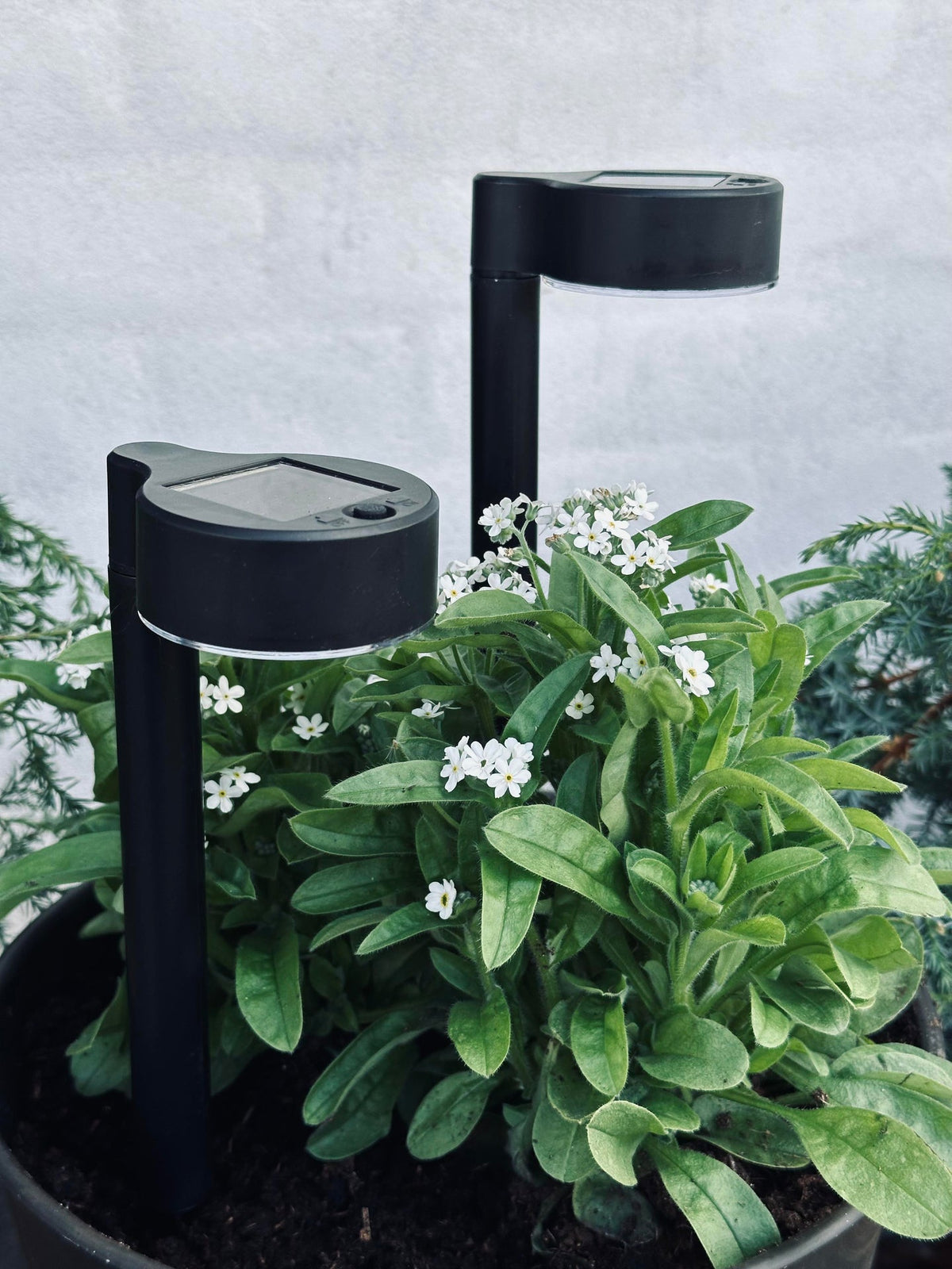 Tuinlamp Nancy met solar – Set van 4 stuks