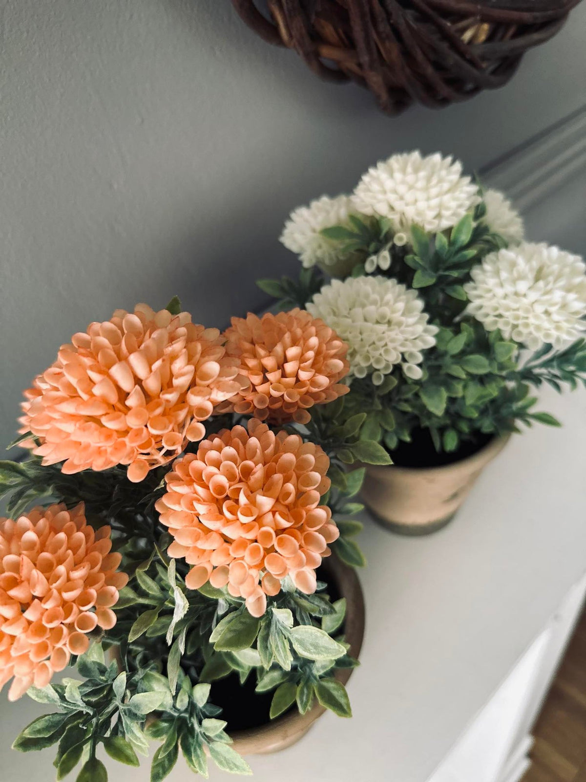 Bloem in rustieke pot - Coral