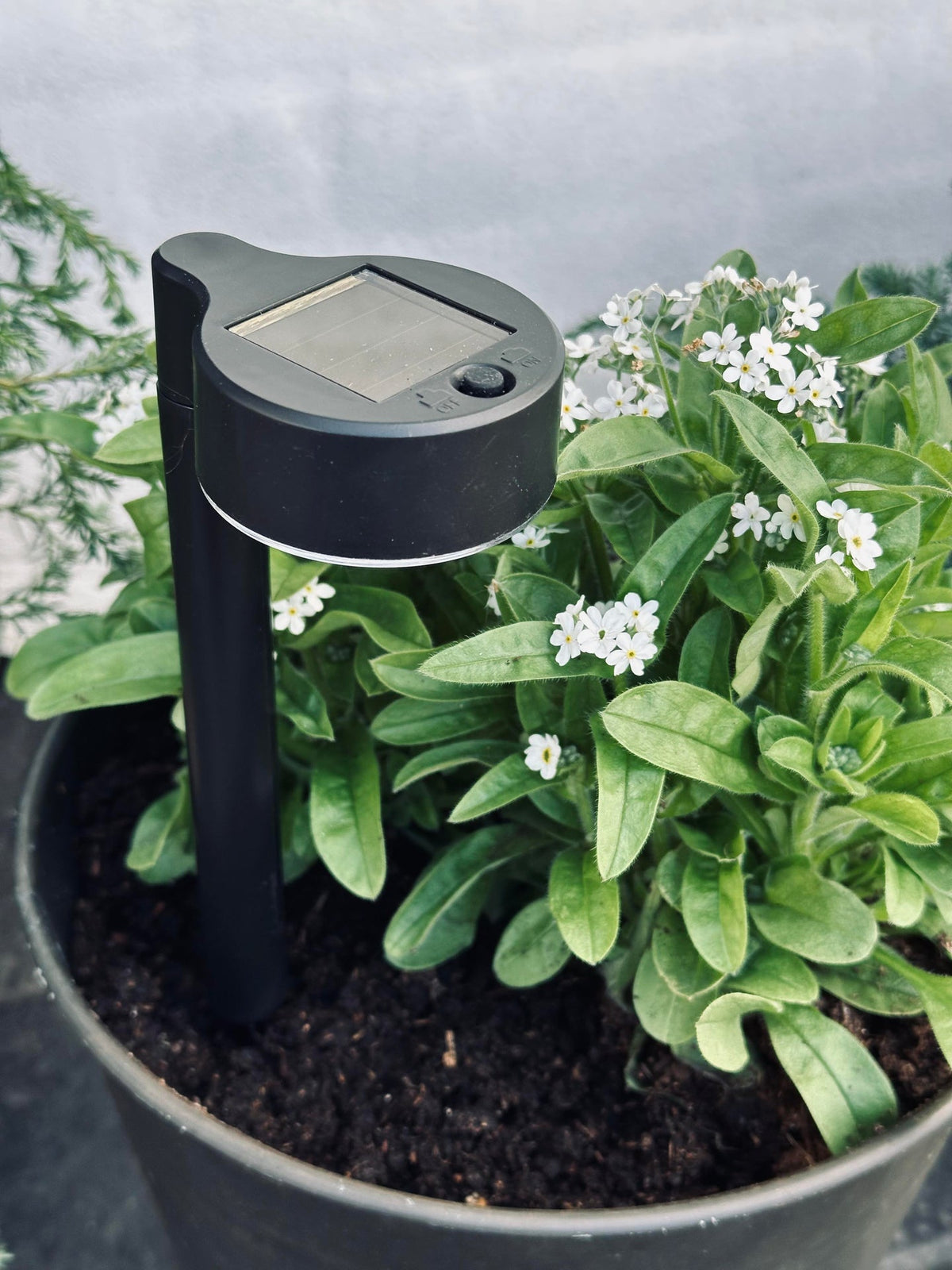 Tuinlamp Nancy met solar – Set van 4 stuks