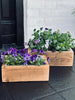 Plantenbakken - Set van 2 stuks
