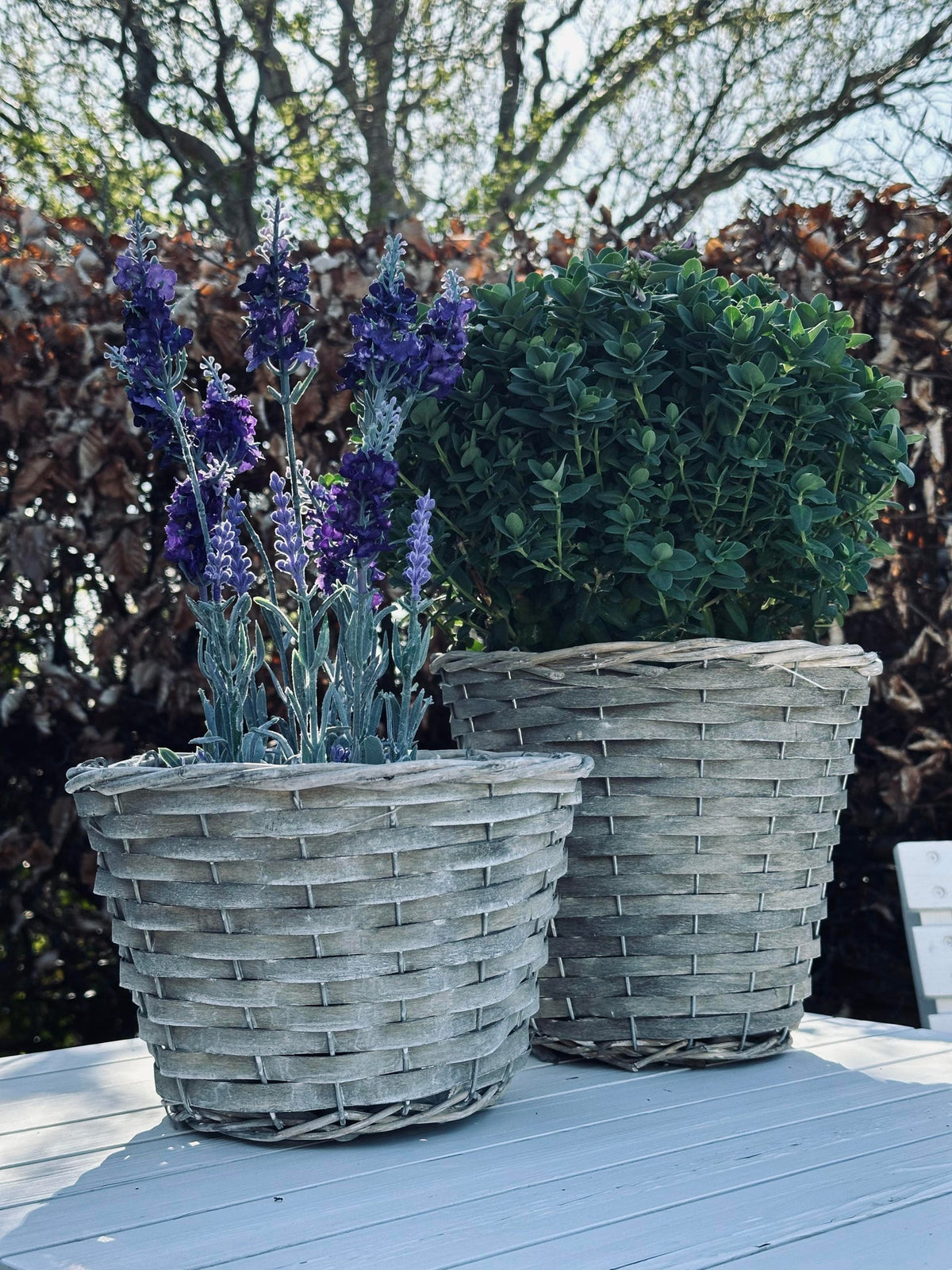 Plantenmand 15 cm