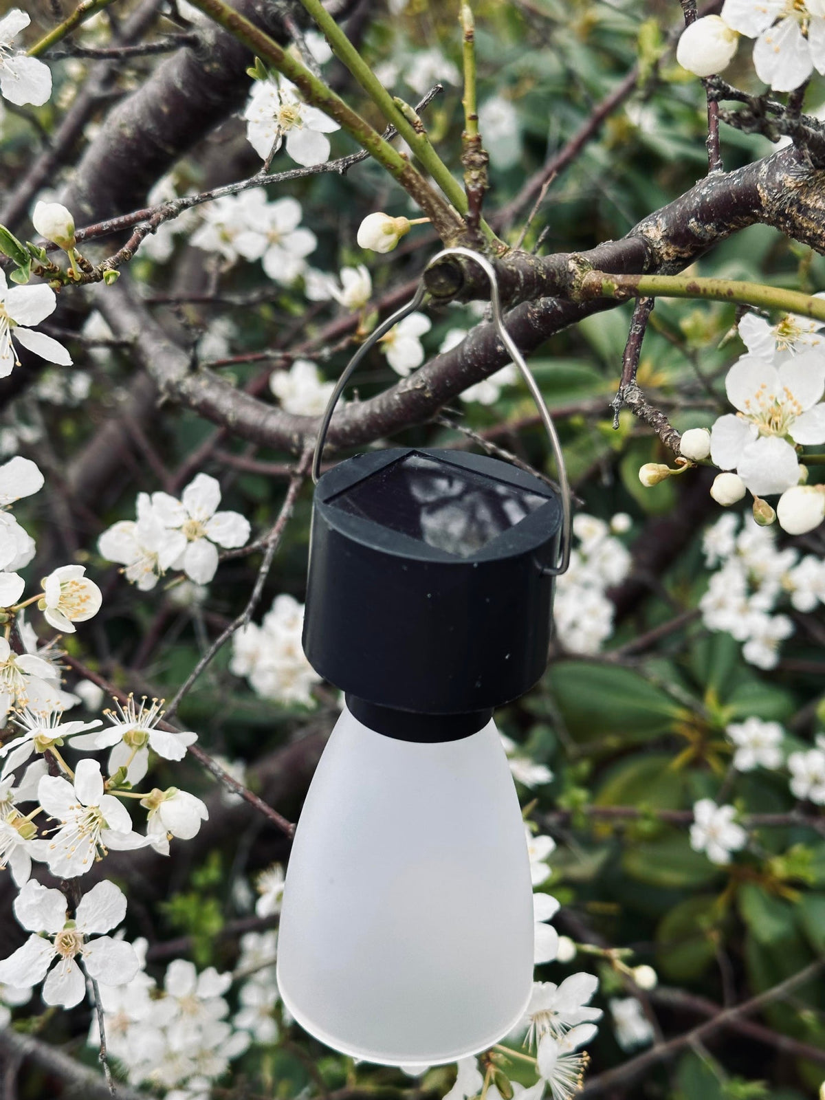 Mini lamp op zonne-energie