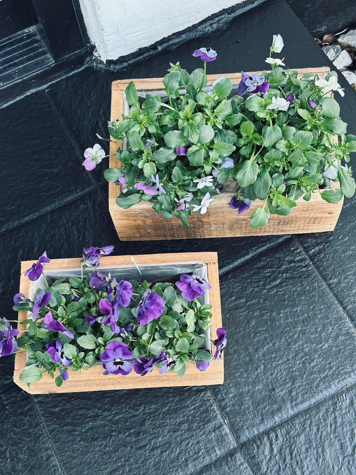 Plantenbakken - Set van 2 stuks