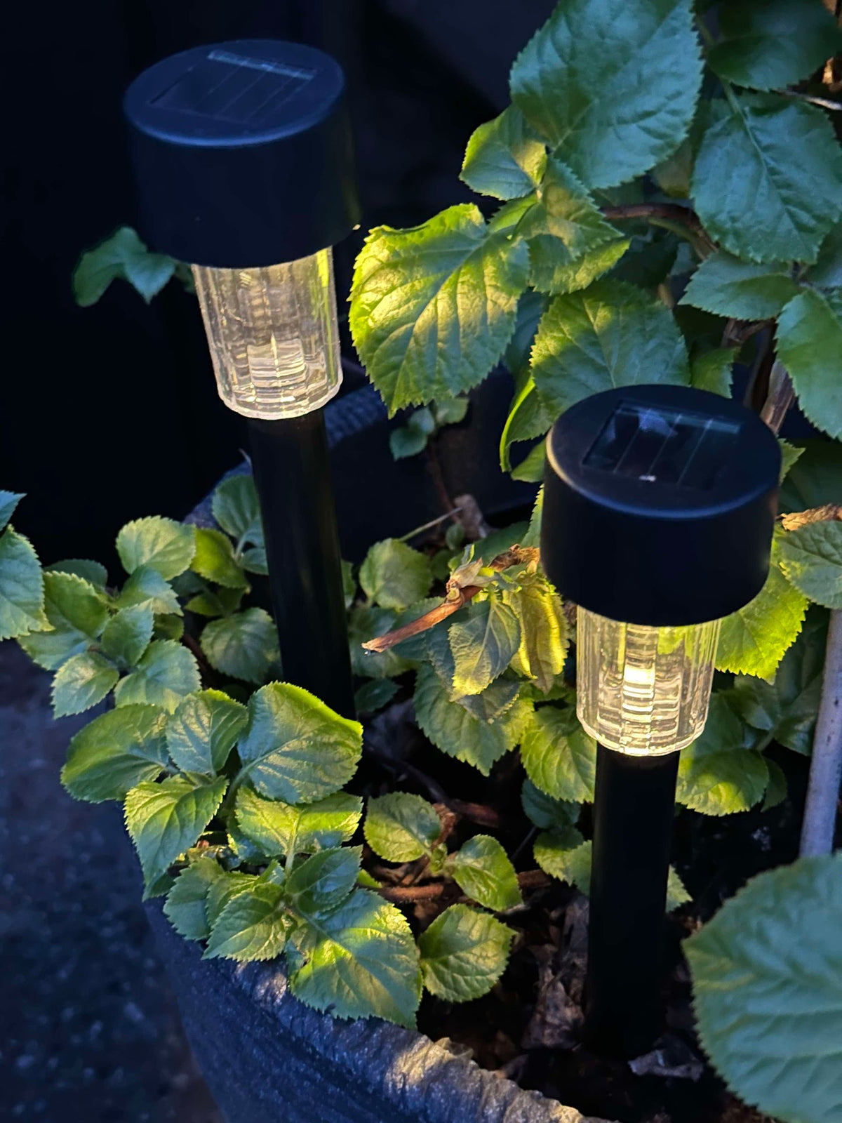 Fakkel Effekt Black – Set met 4 stuks