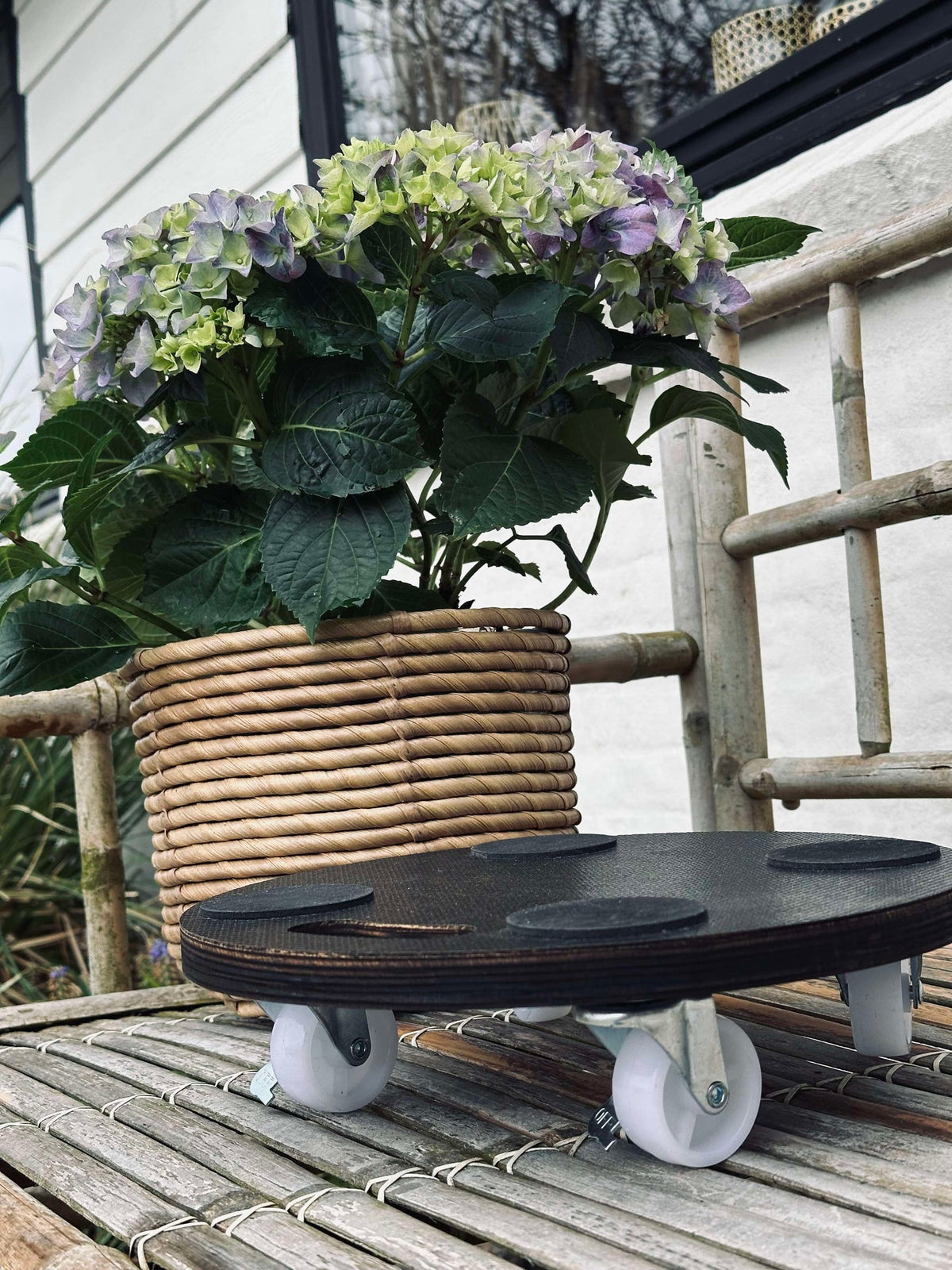 Plantenrolwagen - max. 150 kg