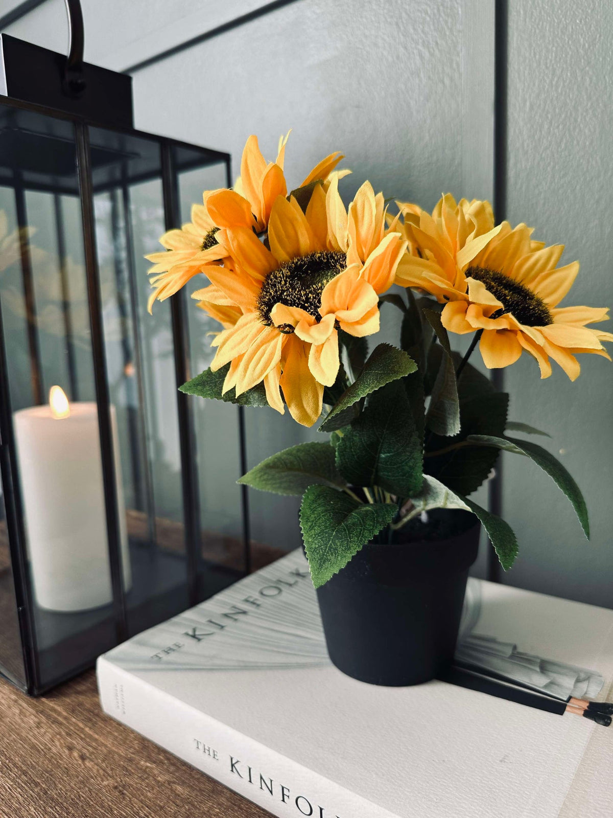 Zonnebloem in pot