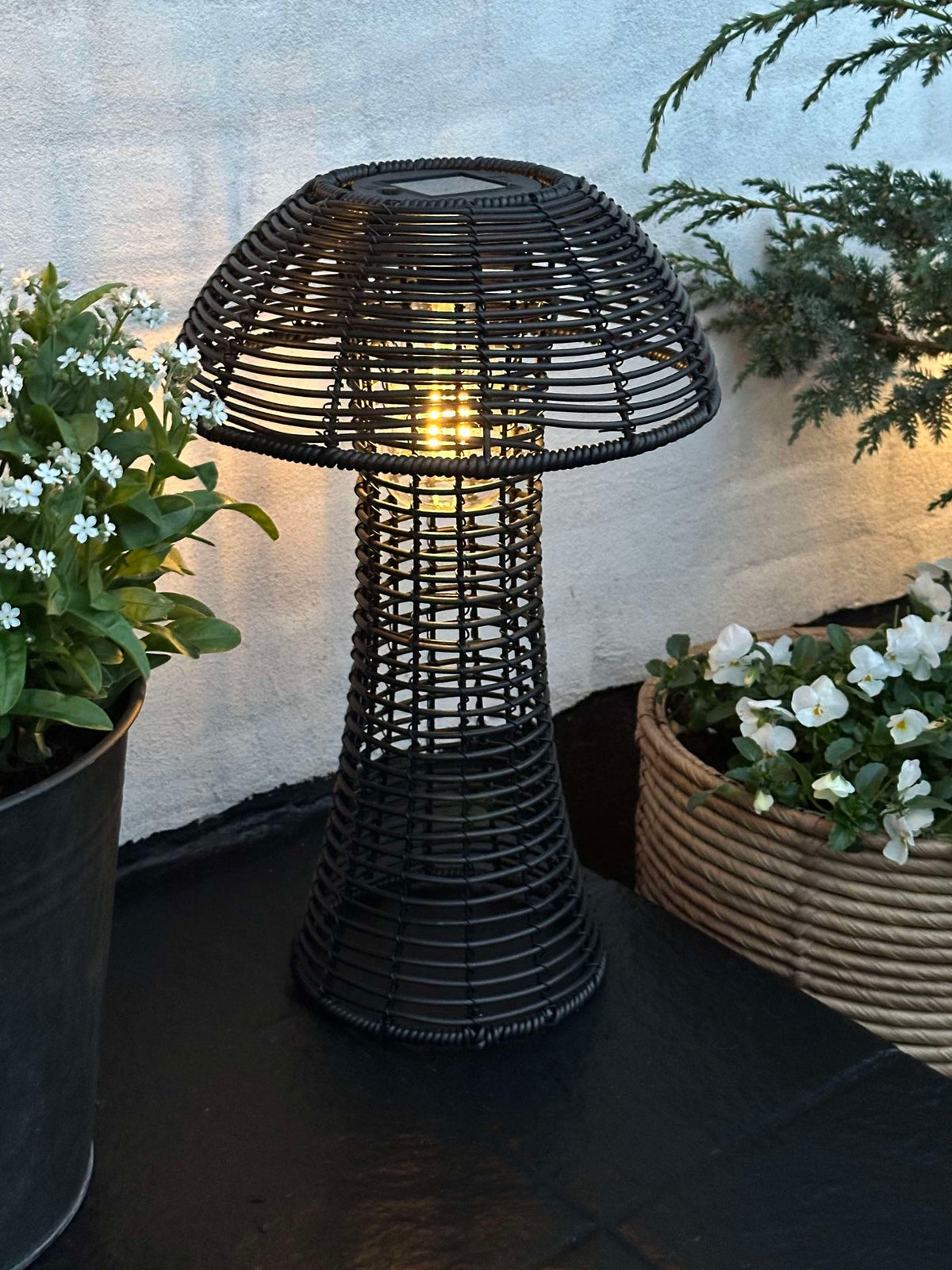 Mushroom Solar - Black Large