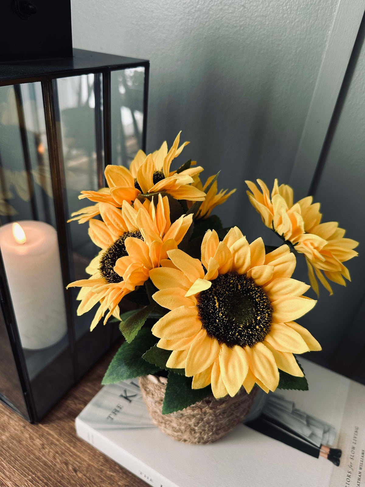 Zonnebloem in pot