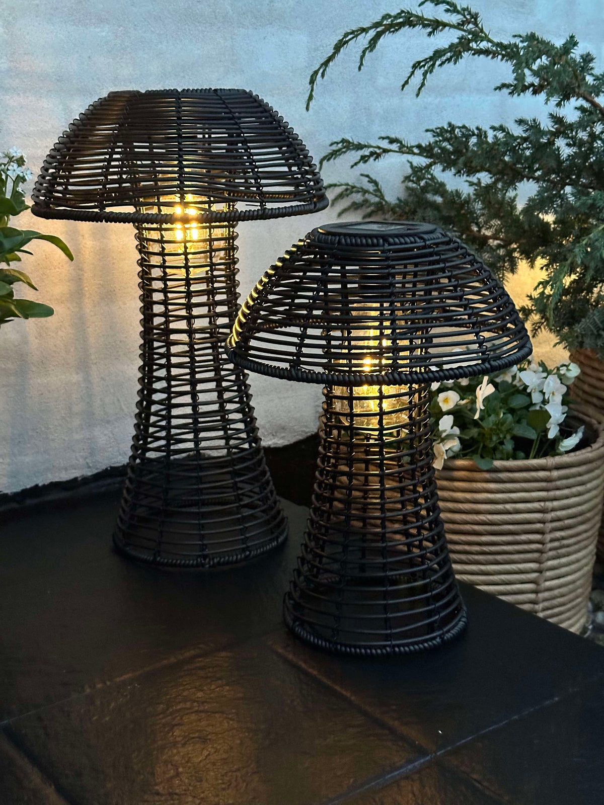 Mushroom Solar - Black Small