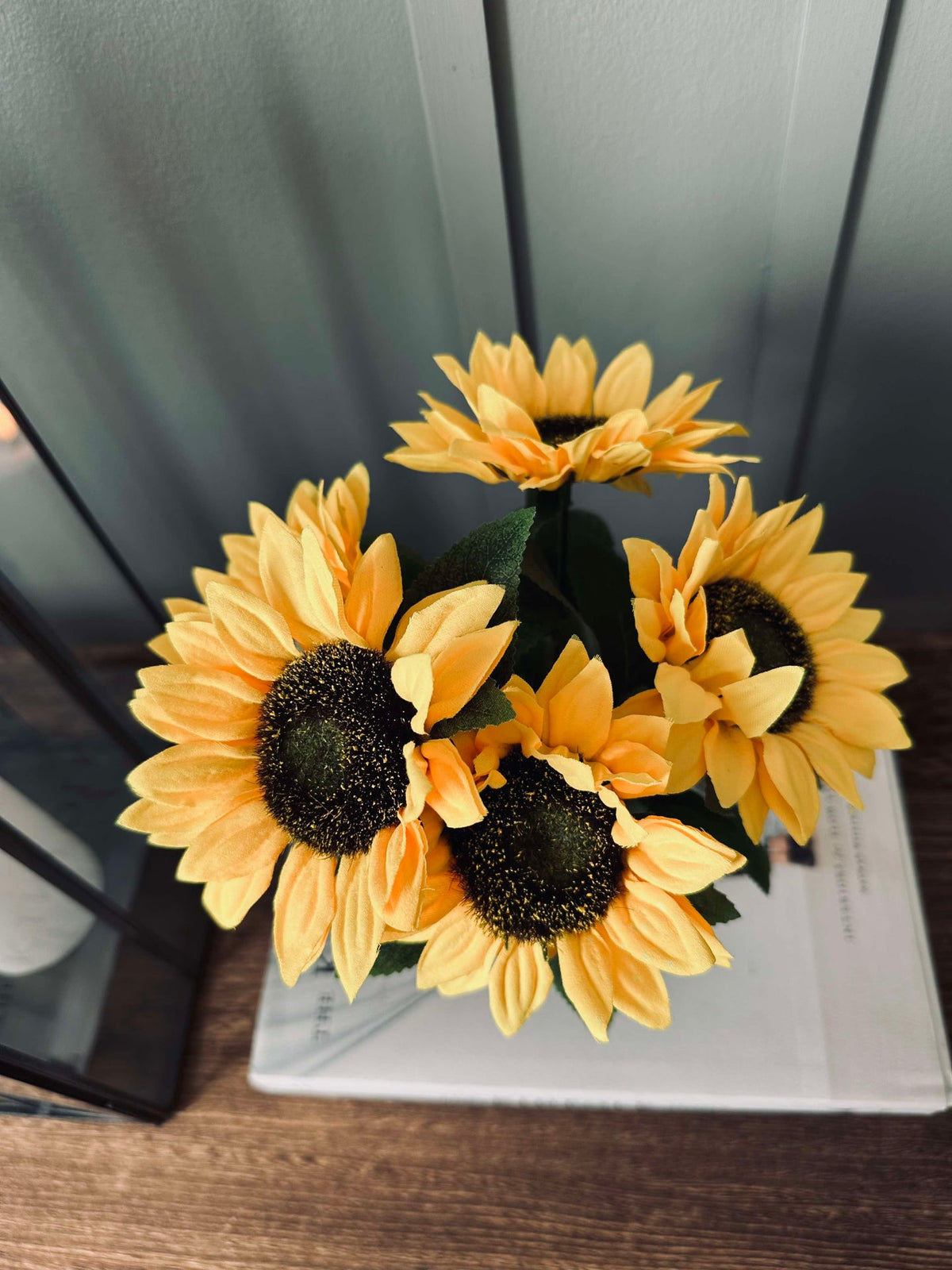 Zonnebloem in pot