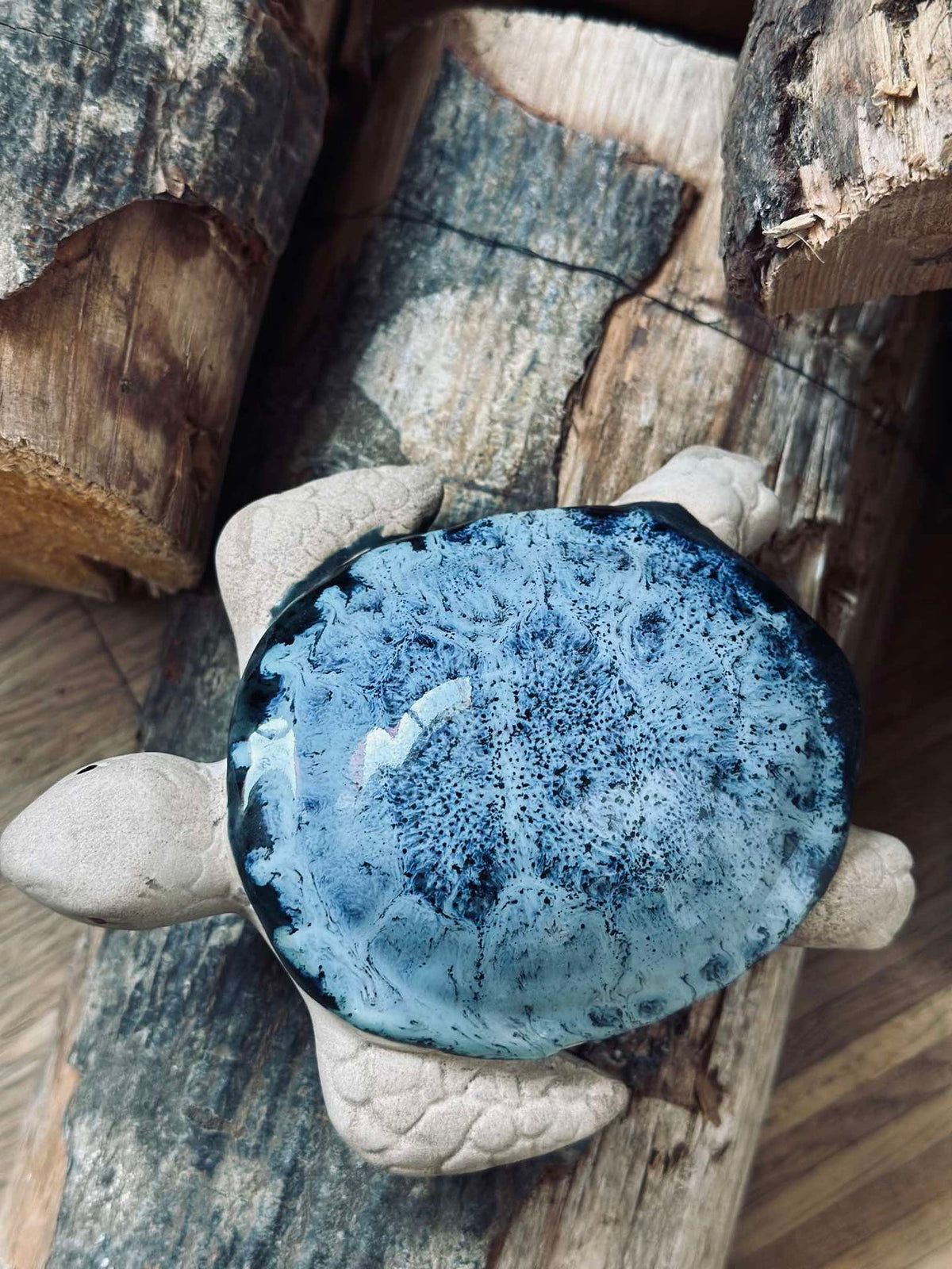 Schildpad MIX