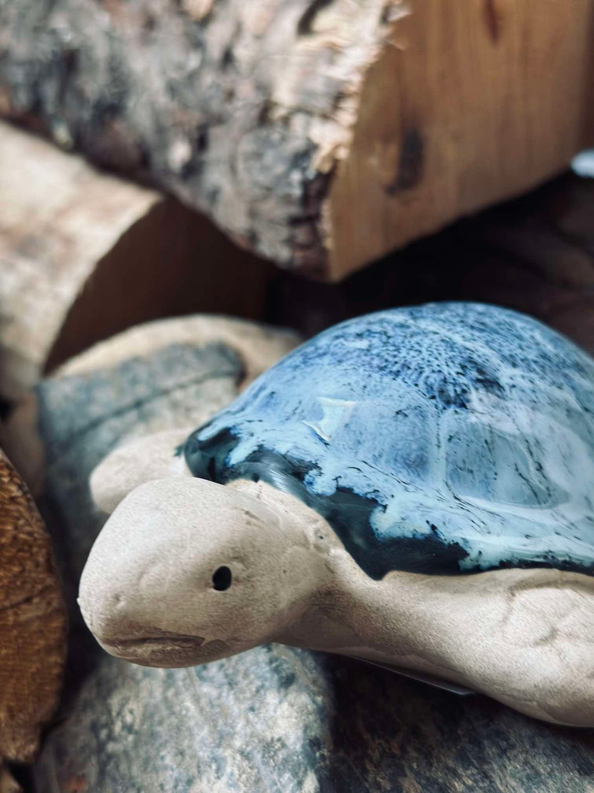 Schildpad MIX