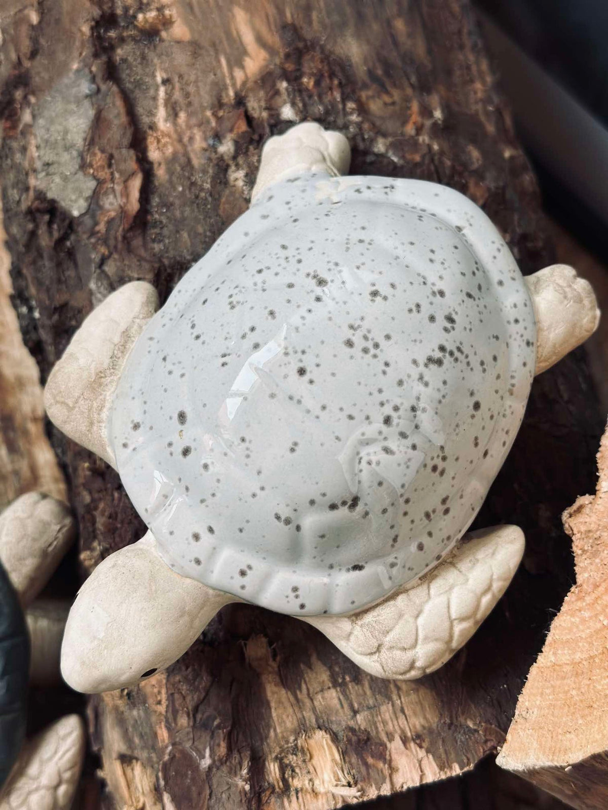 Schildpad MIX